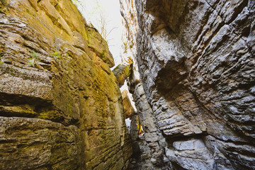 In the rocks - Felsengärten Hessigheim - South of Germany - behind the vignards