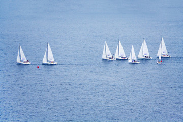 Naklejka premium A group of small sailing boats on the blue water