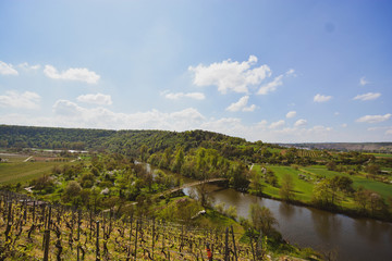Vineyard overlooking the river Neckar, Landscape of Hessigheim, Germany