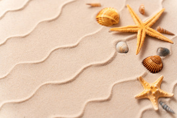 Fototapeta na wymiar summer beach background with shell, sea star, vacation and travel concept, Flat lay top view copy space, Minimal exotic concept. Creative layout of sand waves.