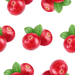 Cranberry hand drawn watercolor illustration. Seamless pattern.