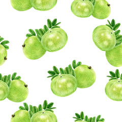Indian gooseberry fruits amla hand drawn watercolor illustration. Seamless pattern.