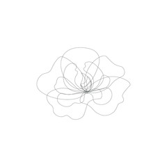 illustration of a drawn white flower on a white background