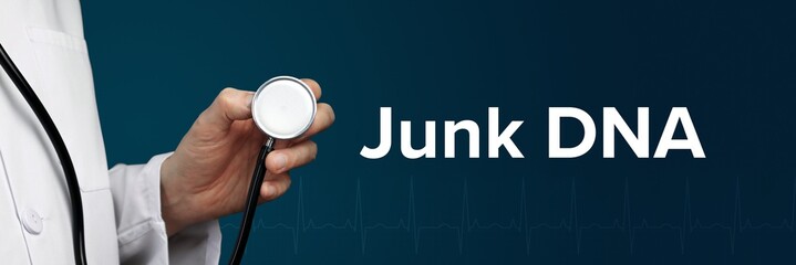 Junk DNA. Arzt im Kittel hält Stethoskop. Das Wort Junk DNA steht daneben. Symbol für Medizin,...