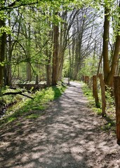 Fototapeta premium Weg durch den Park in Hamburgs Norden