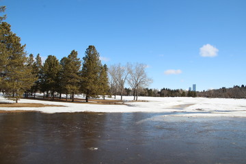 Frozen Lake, William Hawrelak Park, Edmonton, Alberta