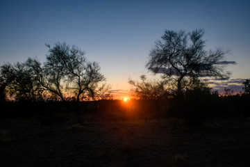 Obraz na płótnie Canvas Sunset in the Arizona Desert between trees