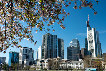 Frankfurt, Germany - March 31, 2020: frankfurt skyline view from main riverside in springtime