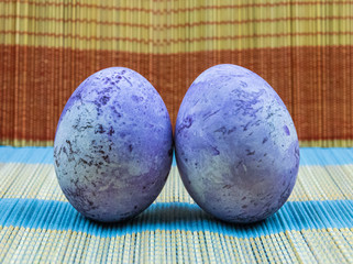Two chicken colored colored eggs for Easter or Breakfast