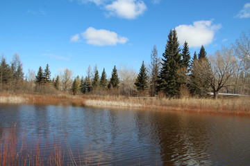 Obraz premium Spring On The Lake, Gold Bar Park, Edmonton, Alberta