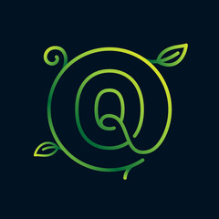 Q letter leaf logo in a circle. Impossible one line style.