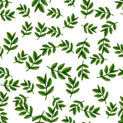 Seamless hand drawn pattern with green basil grass. Marker / Watercolor illustration. 