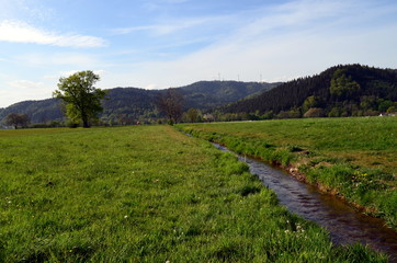 Fototapeta na wymiar Grüne Wiesen im Dreisamtal bei Freiburg