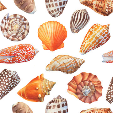 Seamless pattern with underwater life objects - orange and brown sea shells, marine starfish. Watercolor hand drawn painting illustration isolated on white background.