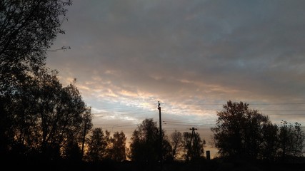 Fototapeta na wymiar misty sky, sunset, dark treetops