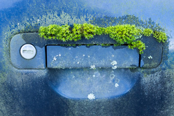 Element of exterior of Old abandoned car with rust and green moss.