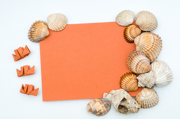 Seashells, origami and orange notepad on white background. Colorful flat lay design. Decorations. Colorful background. Objects on wooden table. Copy space concept 