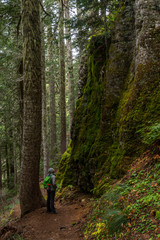 Fototapeta premium Woman Stands Below Large Mossy Wall