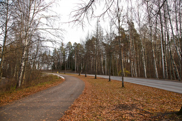 beautiful road and sidewalk between the trees in autumn scenery, Autumn leaves road view