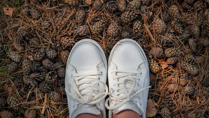 background of forest land with a pinecones and women's sneakers top view