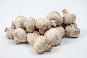Pile of mushrooms on the white surface