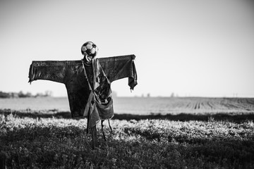 scarecrow with head from the ball on the field