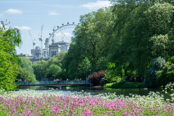 St. James's Park London near Buckingham palace summer greenery flowers pond lake London eye