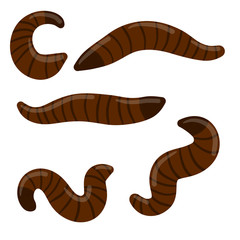 Leech. Set of bloodsucking insects. Red dangerous worms. Nasty slimy animals of rivers and lakes. Cartoon flat illustration isolated on whiite