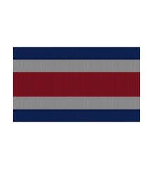 Fototapeta premium Flag of Costa Rica 