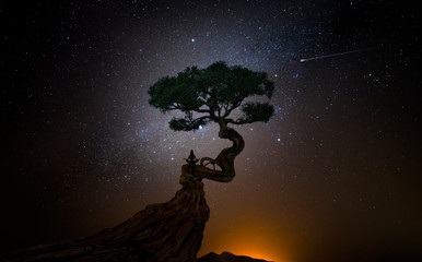 Yoga woman under a tree in front of the universe