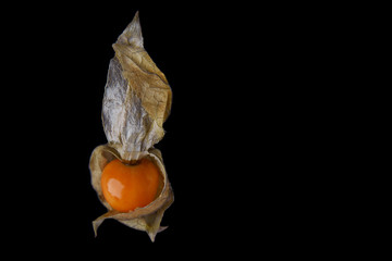 Fruits Berry strawberry physalis on a black background close-up