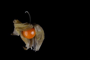 Fruits Berry strawberry physalis on a black background close-up