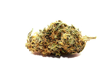 Marijuana Bud Close Up