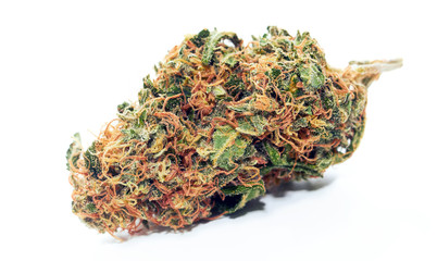 Marijuana bud isolated on white