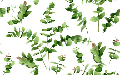 Watercolor painting  eucalyptus branches leaves on white.Green leaf seamless pattern background.Watercolor illustration tropical exotic aroma leaf prints for wallpaper,textile aloha spring summer.