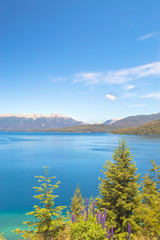 Andean lakes with mountains around blue sky and green vegetation in Argentine Patagonia in Bariloche