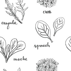 Seamless pattern with herbs and salad leaves: spinach, mache, cress, arugula/ Hand drawn black and white background/ Vector illustration