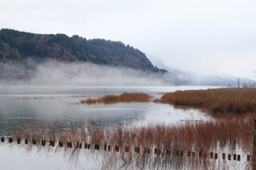 Mists outside of Portland, OR