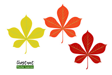 Set of Autumn chestnut leaves with name. Isolated on white background. Red, orange, yellow. For cards, invitations, congratulations, party feeding, logo.
