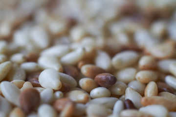 Extremely close-up food background sesame seeds of varying degrees of roasting, selective focus