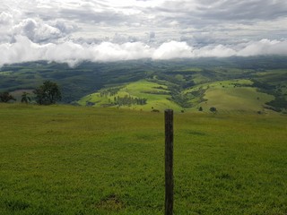 Vale verde