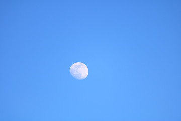 moon in the sky