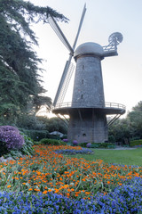 Dutch Windmill and Queen Wilhelmina Tulip Garden. The Golden Gate Park, San Francisco, California, USA.   © Yuval Helfman