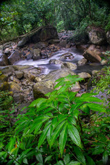 the beautiful scenic waterfall in front of famous double decker root bridge in meghalaya