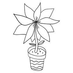 Cartoon doodle flower with leaves in pot isolated on white background. Vector illustration.  
