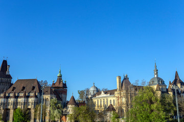 Fototapeta na wymiar Vajdahunyad Castle in the City Park of Budapest
