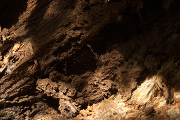old cave in the cave