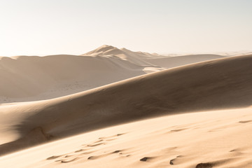 Fototapeta na wymiar Desert of namibia and dune 7 in a hot day