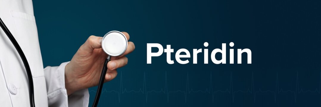 Pteridin. Arzt im Kittel h&auml;lt Stethoskop. Das Wort Pteridin steht daneben. Symbol f&uuml;r Medizin, Krankheit, Gesundheit