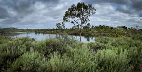 Fototapeta na wymiar Beautiful trees over peaceful Lake Murray in San Diego